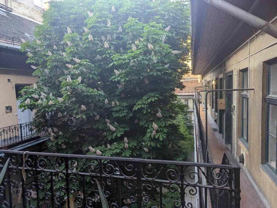 Gallery Flat In Party District Budapeszt Zewnętrze zdjęcie